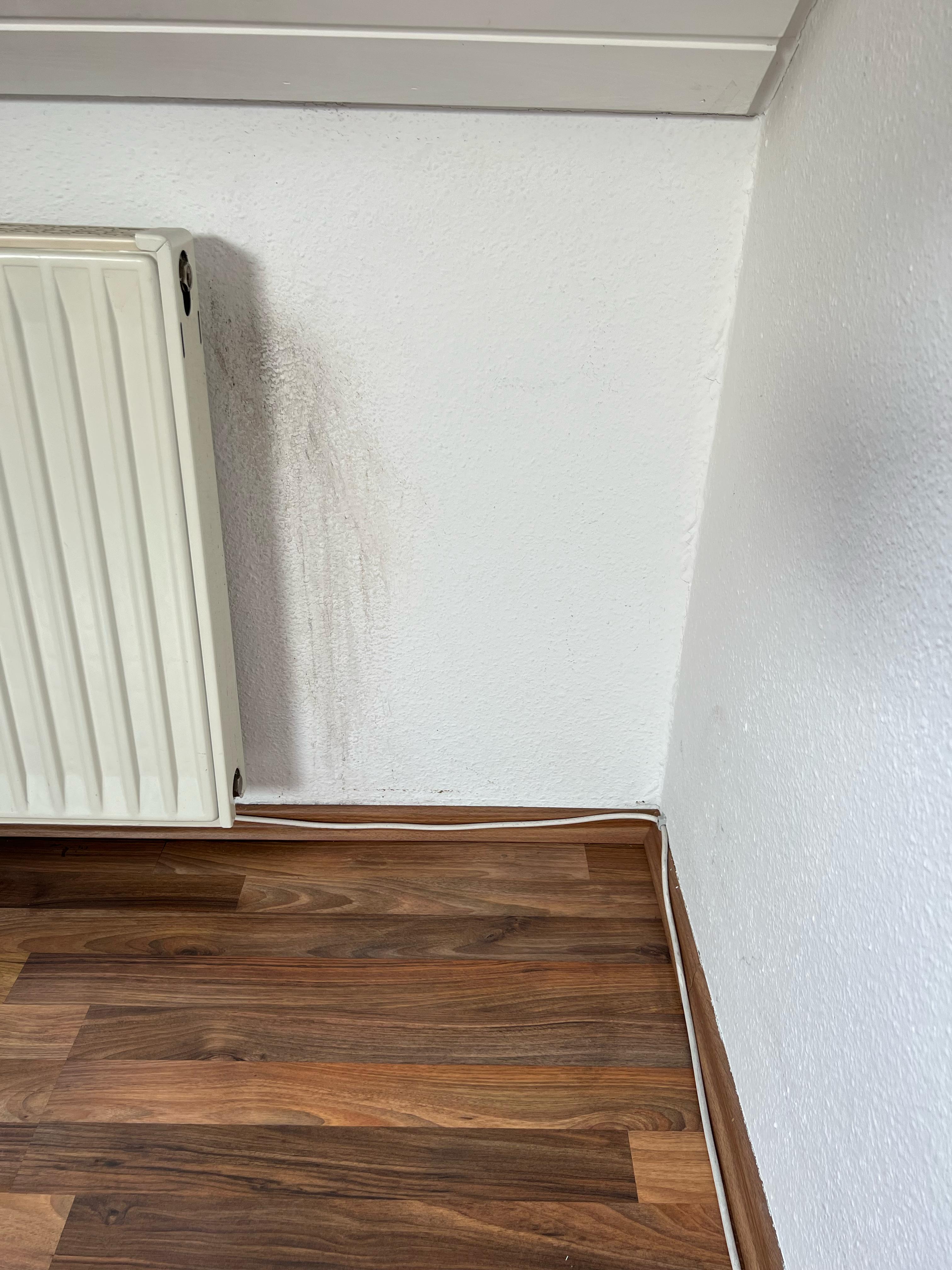 Wasserflecken an Wand oder Decke? So wirst du sie dauerhaft los