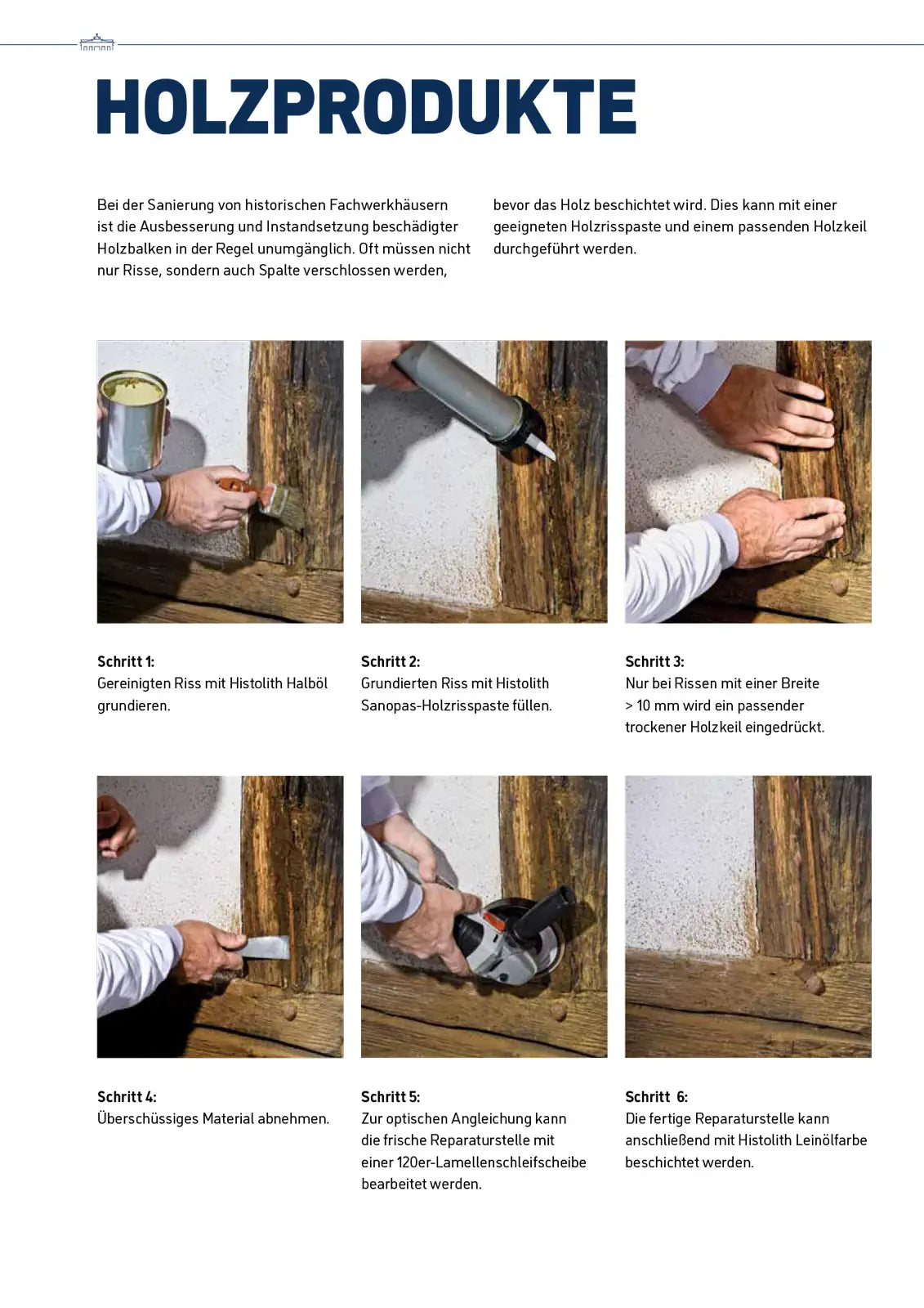 Caparol Histolith Sanopas-Holzrisspaste Holzprodukte