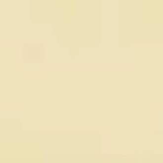 Osmo_Landhausfarbe_High Solid_2204_Elfenbein_seidenmatt