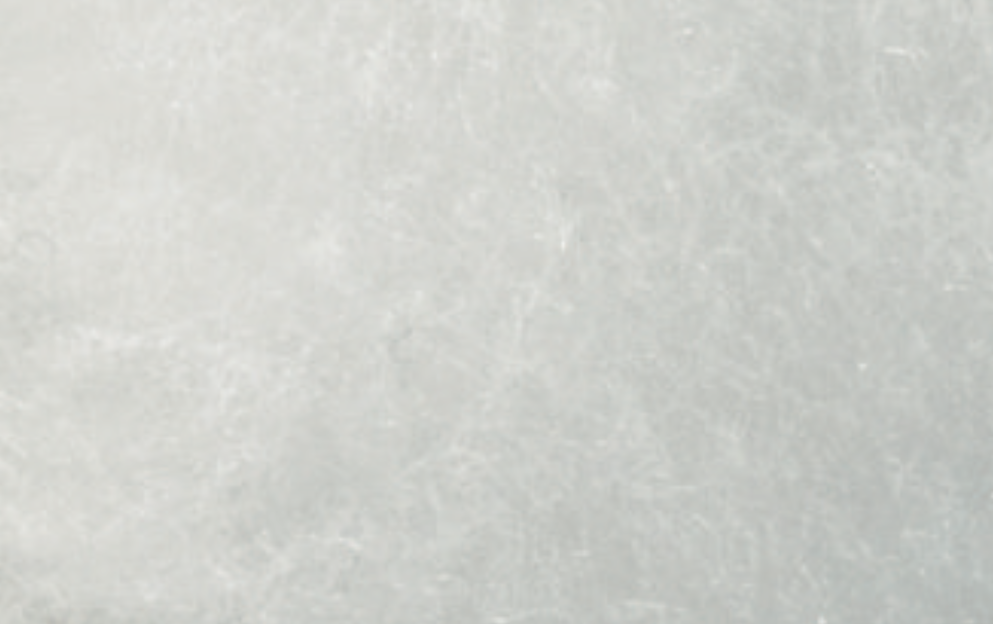 Malerwalze "VESTAN" Breite 18cm, Pol 21mm, Kern48