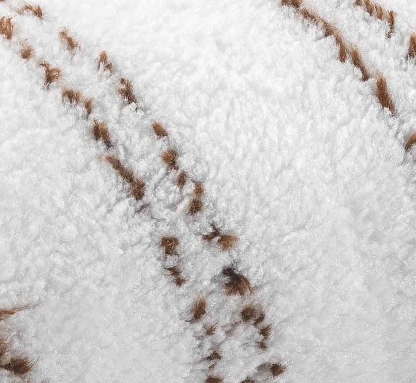 Malerwalze "MICROFASER BRAUNFADEN" Breite 18cm, Pol 9mm, Kern48