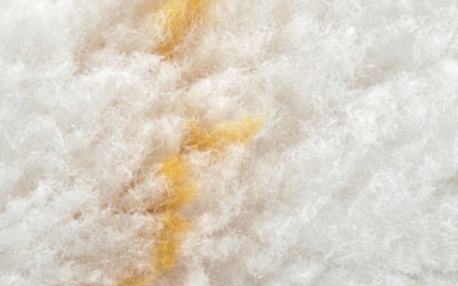 Grossflaechenwalze_Sentolan_Nahansicht Breite 18cm, Pol 12mm, Kern54 - klebemeister.eu