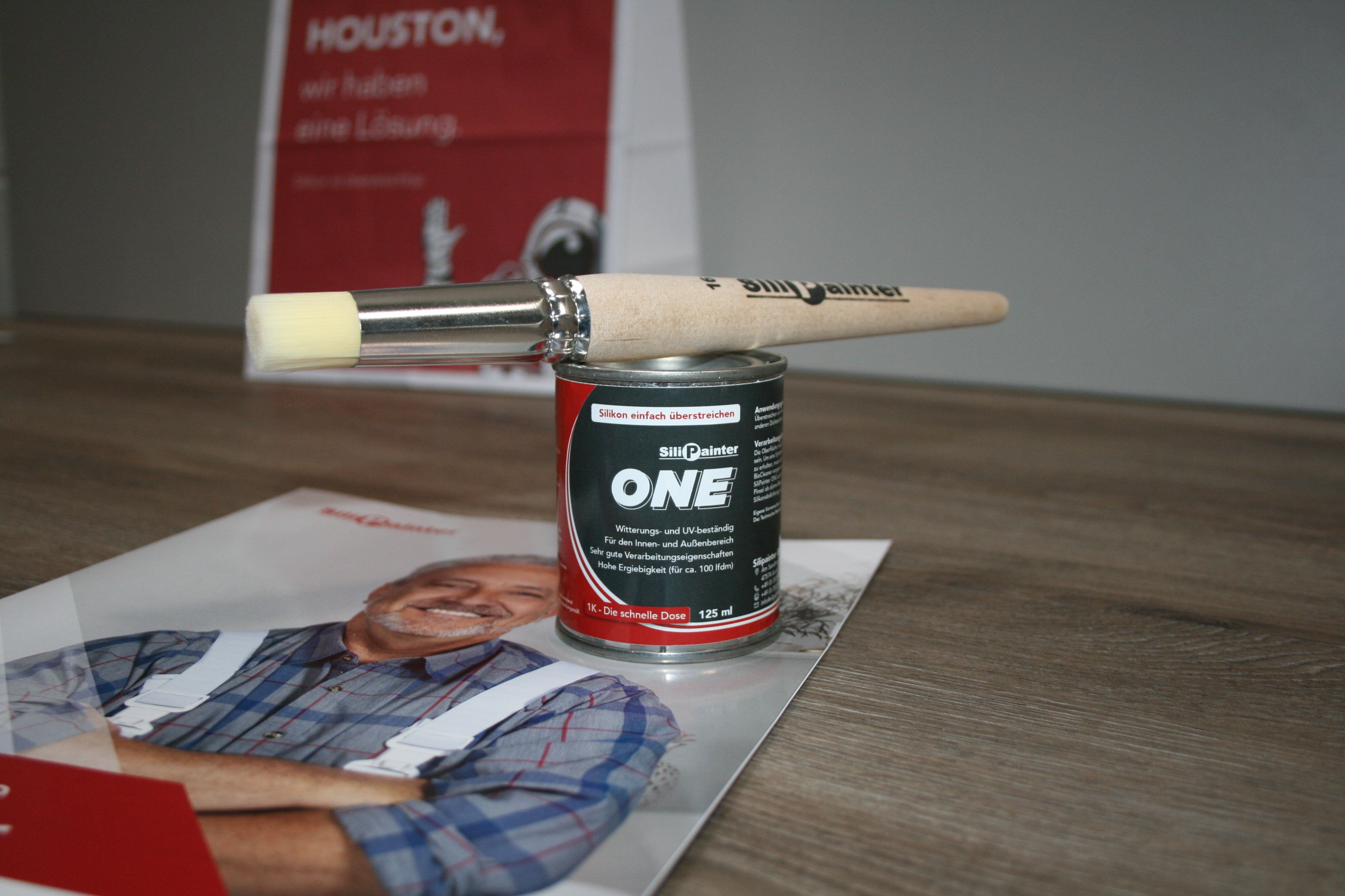 SiliPainter One (Silikon überstreichen)