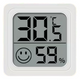 Thermometer_weiss