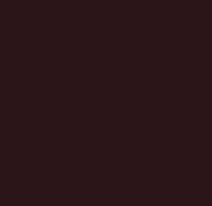 gori_88_compact_holzschutz_lasur_Palisande